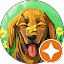 kelly Avatar